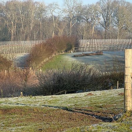 Vila Potts Farm Tenterden Exteriér fotografie