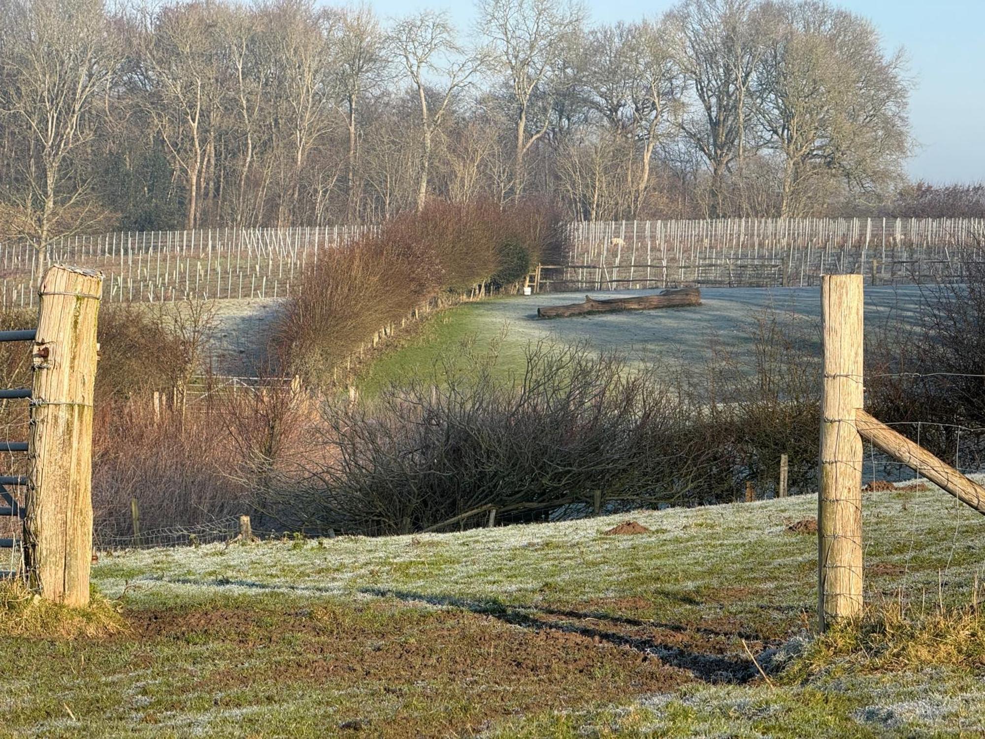 Vila Potts Farm Tenterden Exteriér fotografie